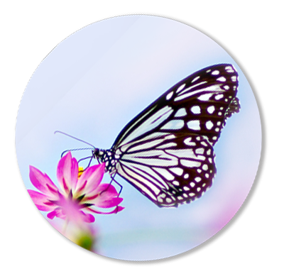 lifecoaching-winsen-lueneburg-bruns